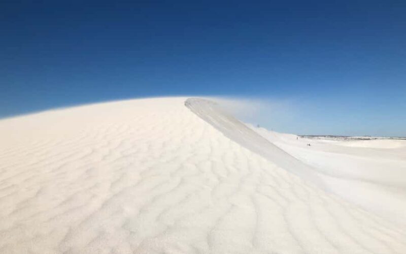 Perth: Pinnacles Desert Bush Walk Guided Tour with Lunch - Who Will Love This Tour?