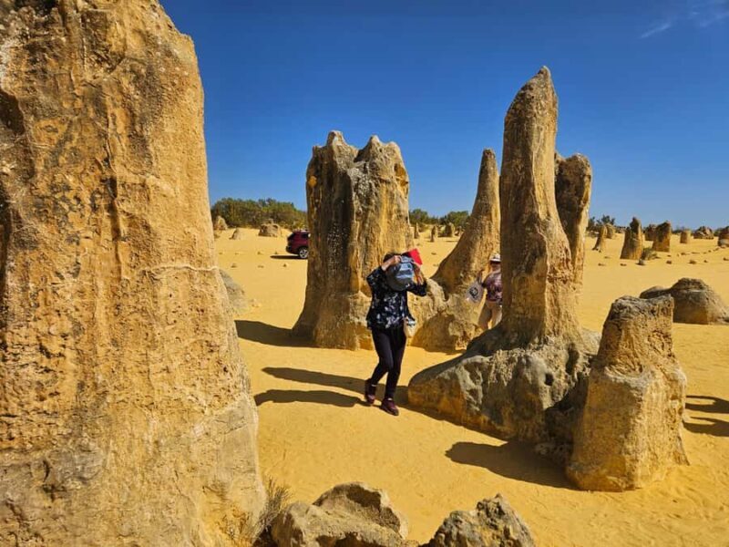 Perth: Pinnacles Desert & Sand Dunes Private Day Tour - Exploring the Pinnacles Desert & Sand Dunes: A Complete Review of the Private Day Tour from Perth