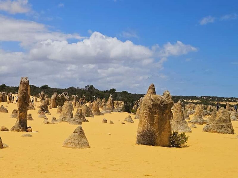 Perth: Pinnacles Desert & Sand Dunes Private Day Tour - Who Will Love This Tour?