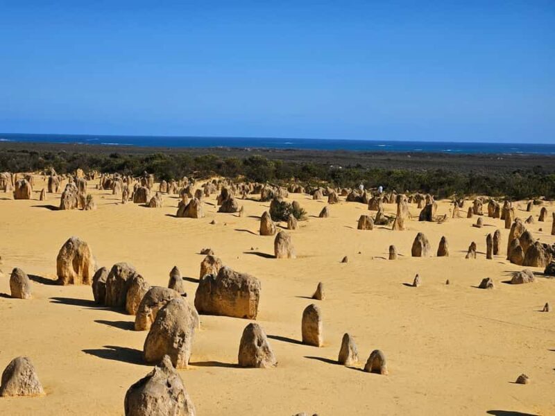 Perth: Pinnacles Desert & Sand Dunes Private Day Tour - The Itinerary in Detail: What You Can Expect