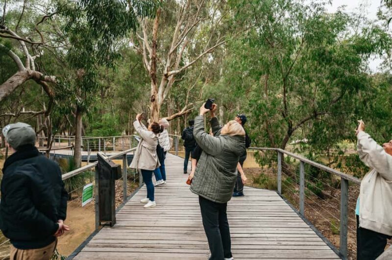 Perth: Pinnacles Desert Sunset and Stargazing with Dinner - Real Traveler Perspectives