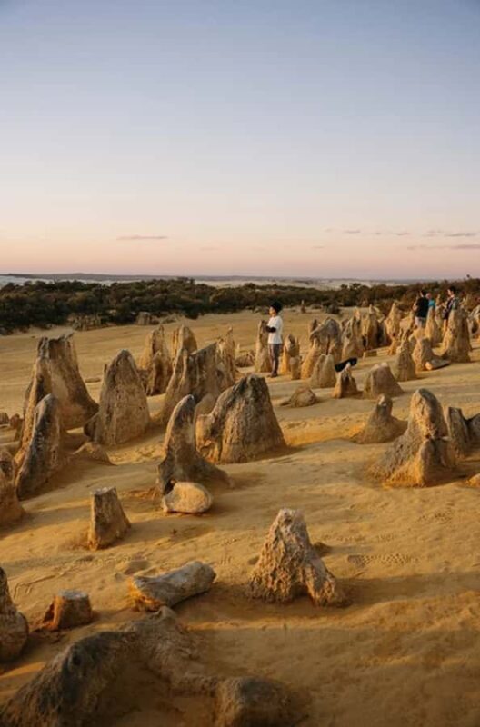 Perth: Pinnacles Desert Sunset and Stargazing with Dinner - Who Will Love This Tour?