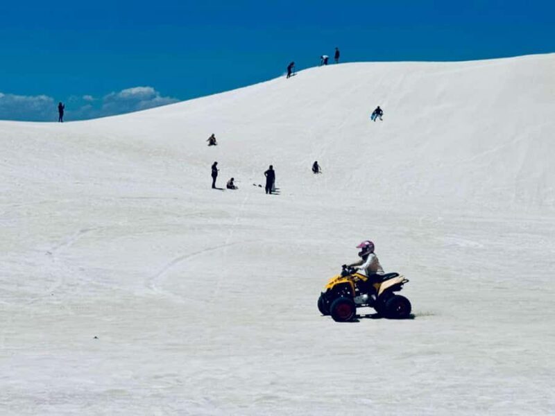 Perth: Pinnacles Stargazing, Sandboarding & Beach Kangaroos - Who Should Consider This Tour?