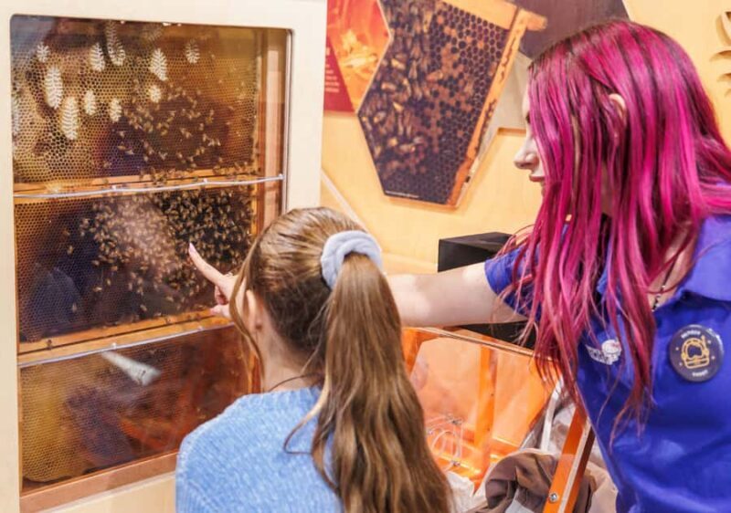 Perth: Scitech Discovery Centre All Day Entry Ticket - FAQ