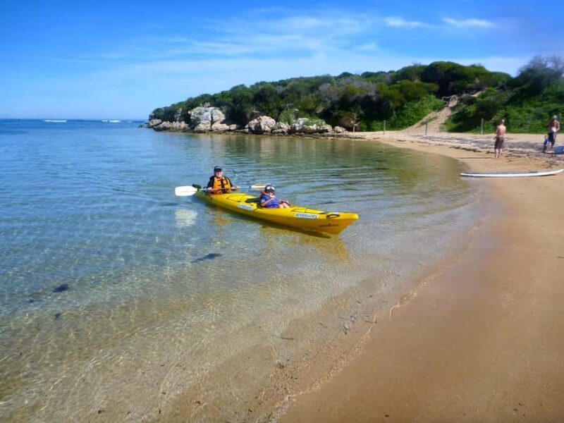 Perth: Shoalwater Islands Marine Park Sea Kayaking Tour - Key Points
