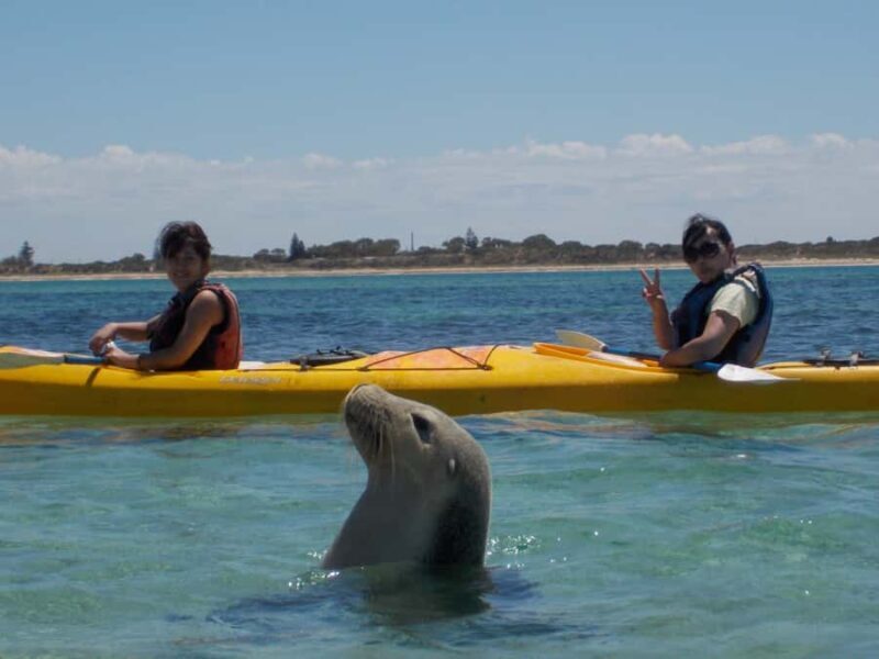 Perth: Shoalwater Islands Marine Park Sea Kayaking Tour - What We Love and What to Consider