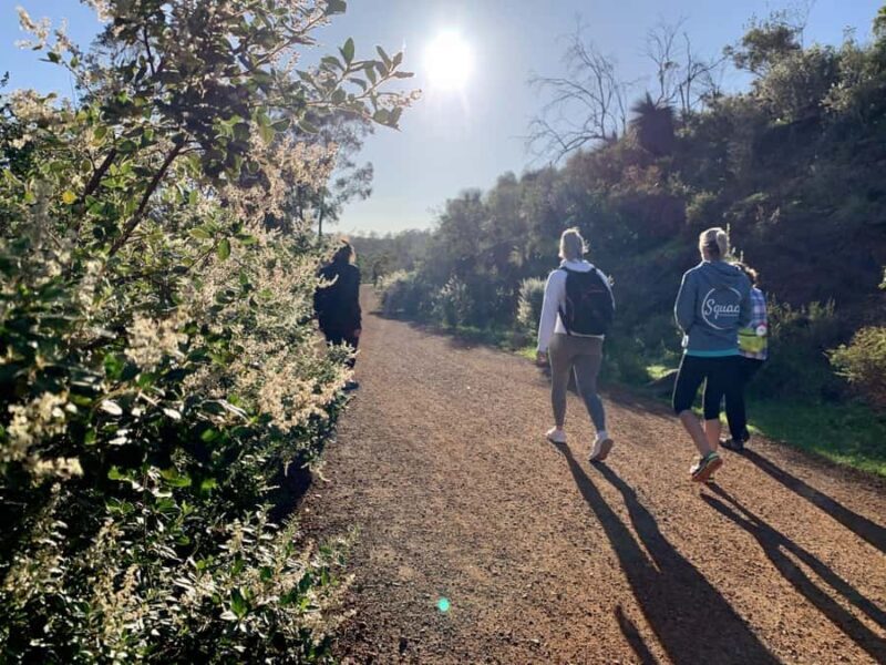 Perth: Swan View Tunnel, Falls, and Eagle View Hike - A Closer Look at the Experience