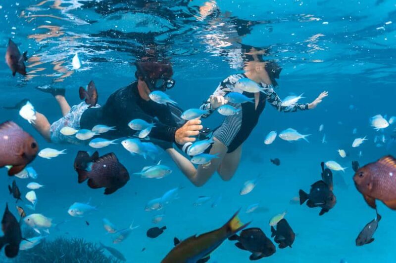 Perth to Exmouth 6-Day Coral Coaster One-Way Journey - Introduction: Why Consider This Tour?