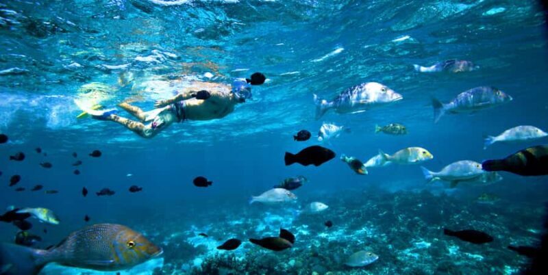 Perth to Exmouth & Return with Monkey Mia & Ningaloo Reef - Perth to Exmouth & Return with Monkey Mia & Ningaloo Reef: An Honest Look