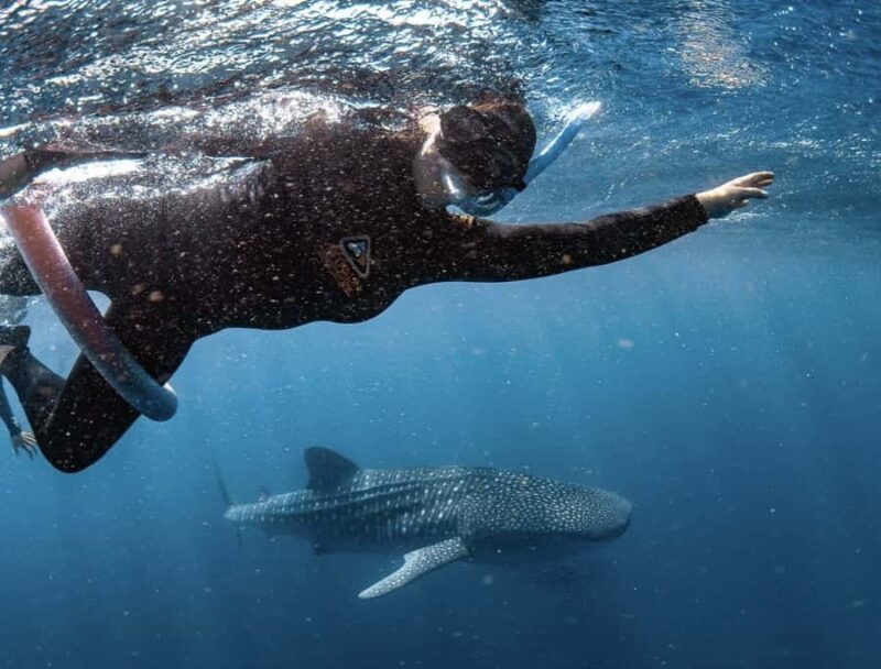 Perth to Exmouth & Return with Monkey Mia & Ningaloo Reef - Transportation, Accommodation, and Cost