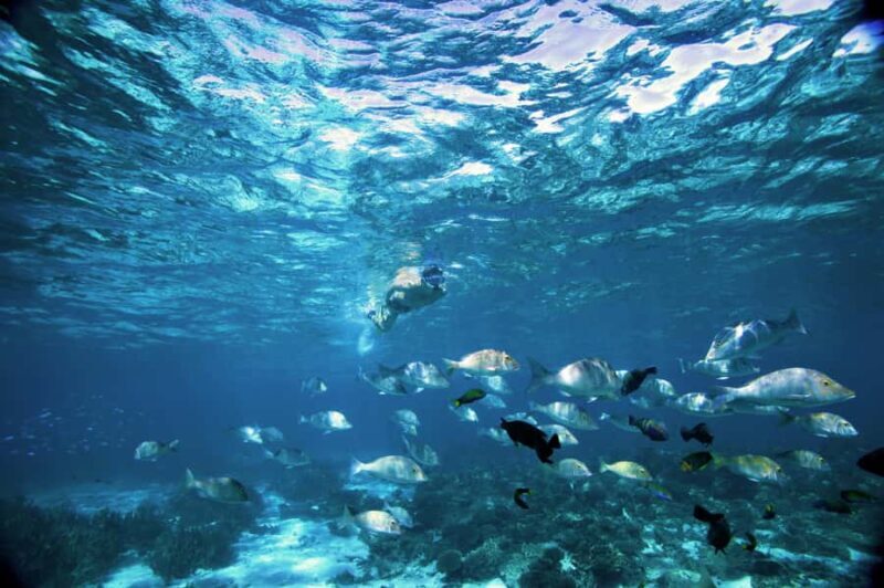 Perth to Exmouth & Return with Monkey Mia & Ningaloo Reef - Who Will Love This Tour?