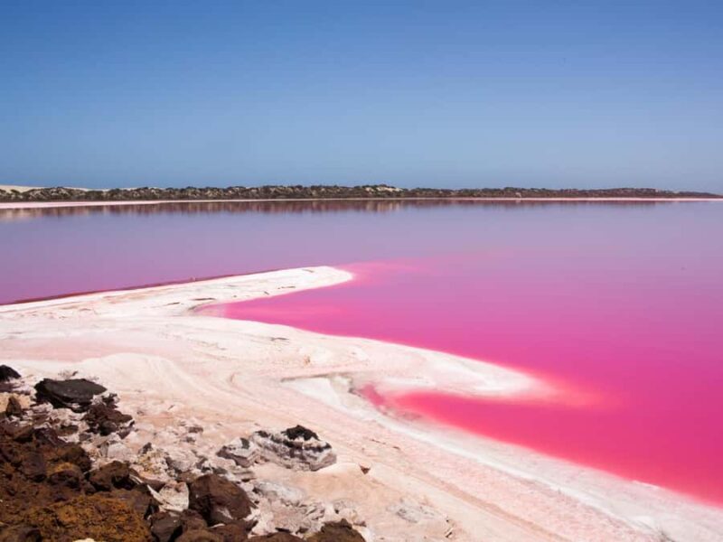 Perth to Exmouth with Monkey Mia & Ningaloo Reef - Key Points