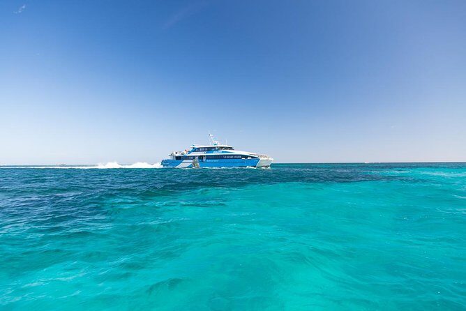 Perth to Rottnest Island Roundtrip Ferry Ticket - A Complete Look at the Perth to Rottnest Island Ferry Tour