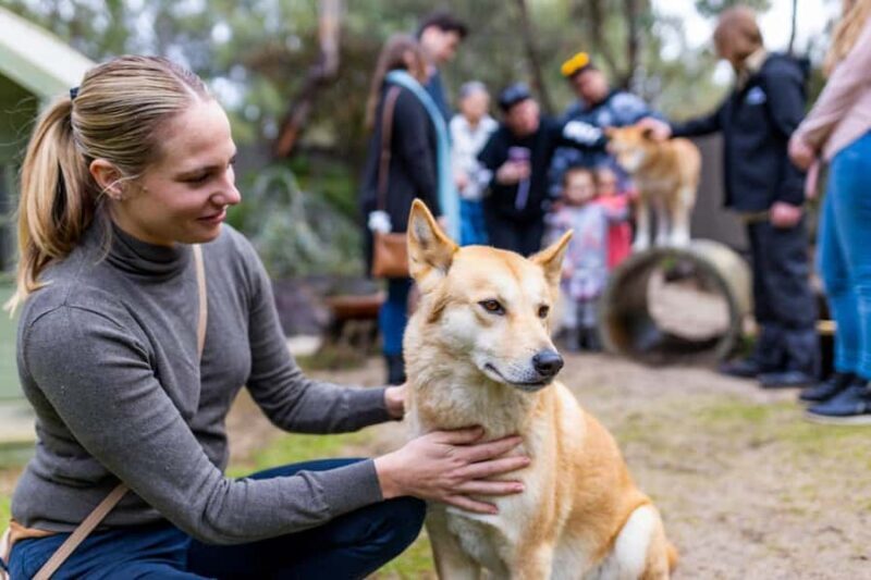 Perth: WA Wildlife Hospital and Native Fauna Encounter Tour - Key Points