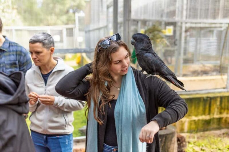 Perth: WA Wildlife Hospital and Native Fauna Encounter Tour - FAQ