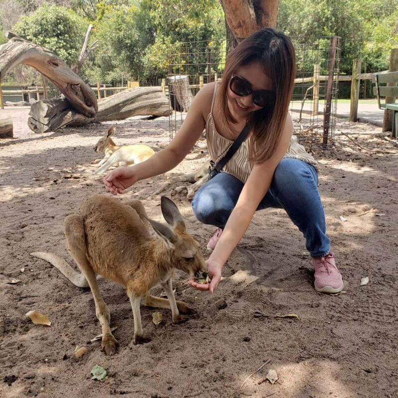 Perth Wildlife Park & City Highlights - Small Group Tours - Final Thoughts