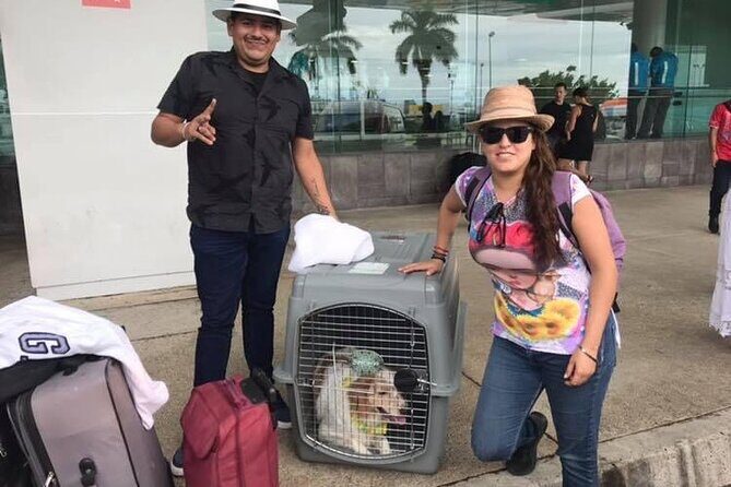 PET FRIENDLY Private Transfer Cancun - Playa del Carmen - A Closer Look at the Experience