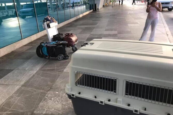 PET FRIENDLY Private Transfer Cancun - Playa del Carmen - Why Pet Owners Will Appreciate This Service
