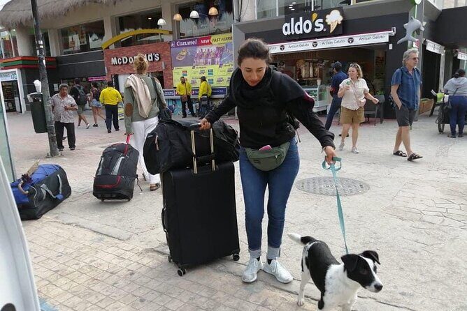 PET FRIENDLY Private Transfer Cancun - Playa del Carmen - FAQ