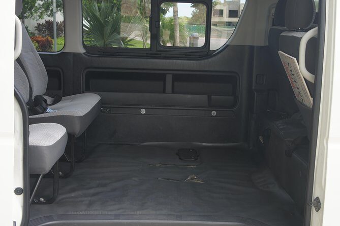 Pet Friendly Transportation Service In Cancun - What to Expect from This Pet-Friendly Transportation Service in Cancun