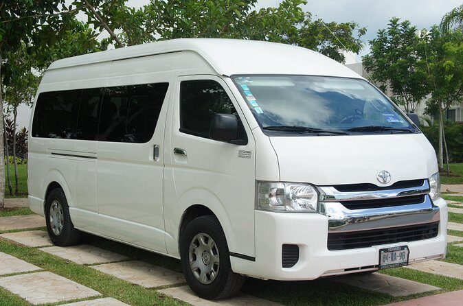 Pet Friendly Transportation Service In Cancun - Why Choose This Service?