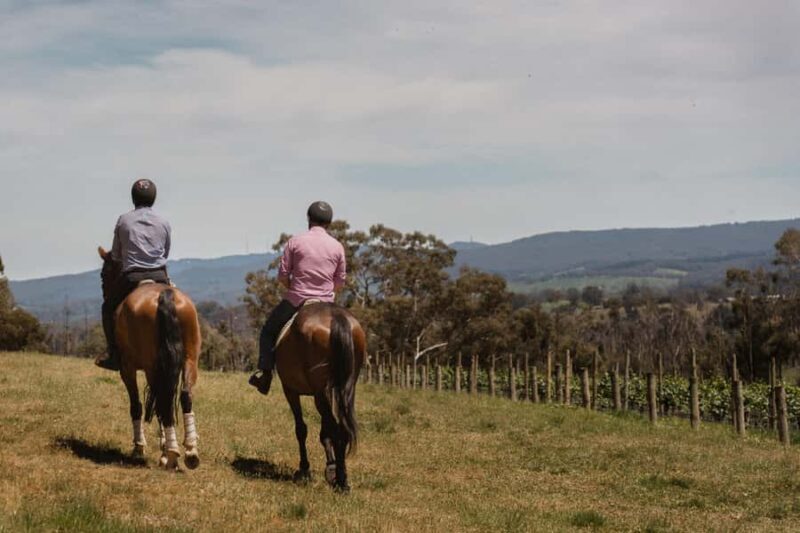 Petaluma: Horseback Riding and Wine Tasting Tour - A Detailed Look at the Experience