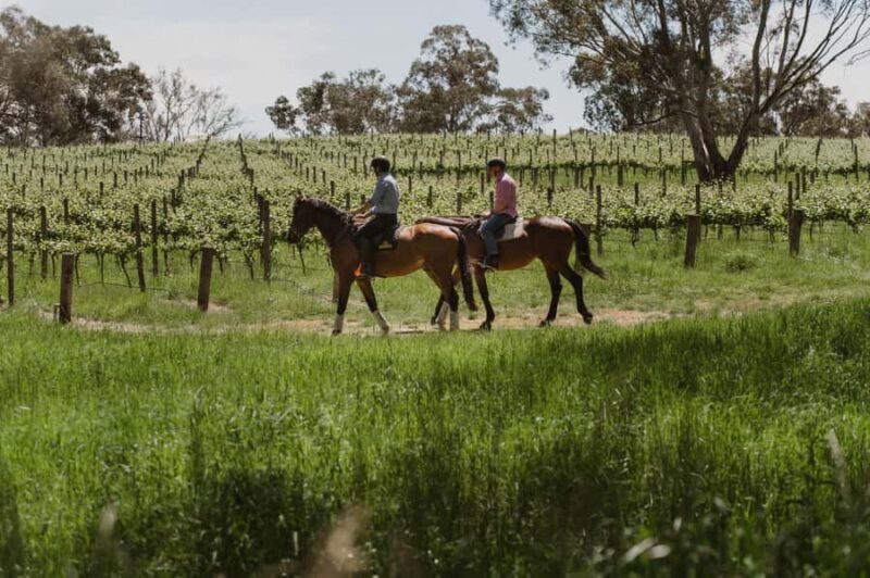 PETALUMA: VIP Equestrian & Private Wine Lunch with Olympian - Practical Details and Considerations