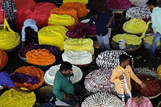 Pete walk, an immersive walking tour in Bangalore with a guide - What Reviewers Say