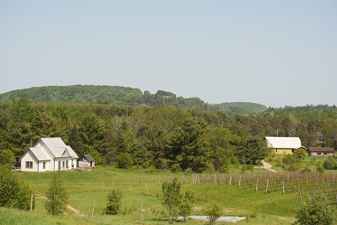 Petite Nation Wine & Cider Tour - Day Trip From Ottawa & Gatineau - How the Tour Works: A Step-by-Step Breakdown