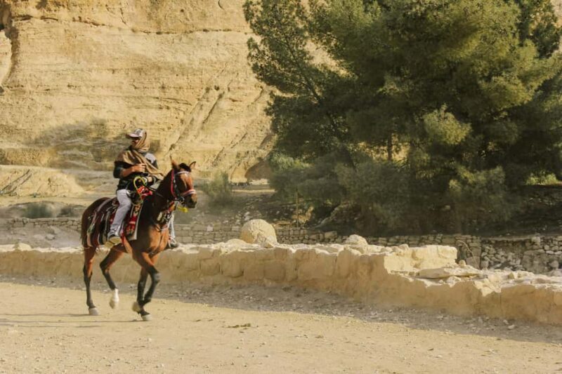 Petra: Horseback Ride to Petra Viewpoint - An Honest Look at the Horseback Ride to Petra Viewpoint