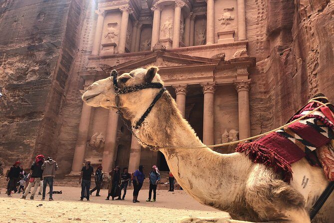 Petra Shore Excursion Aqaba Port - The Value of Guided Tours and Entrance Fees