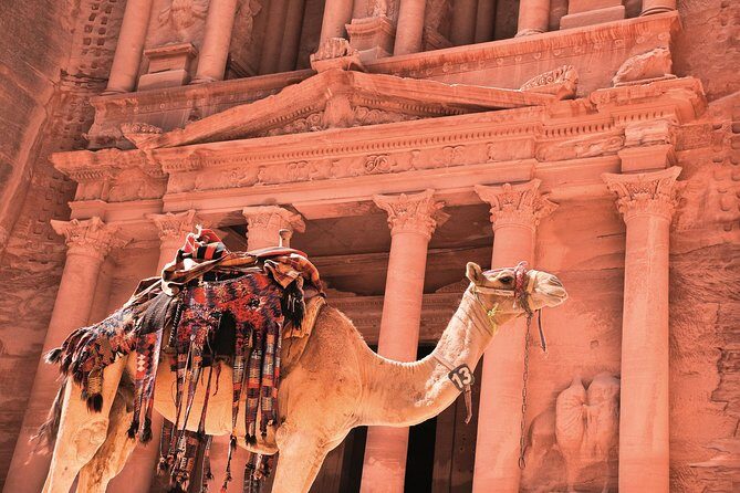 Petra Shore Excursion from Aqaba Port - Key Points