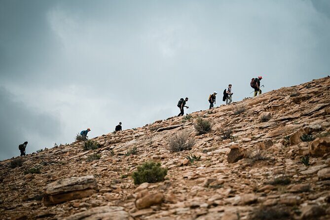 Petra to Wadi Rum Trek - 6 Days - Authentic Experiences and Traveler Feedback