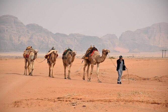 Petra & Wadi Rum Full-Day Tour from Amman or Airport - Practical Details and Considerations