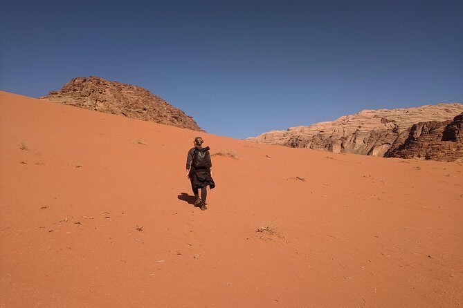 Petra & Wadi Rum Shore Excursion Aqaba Port - What Travelers Are Saying