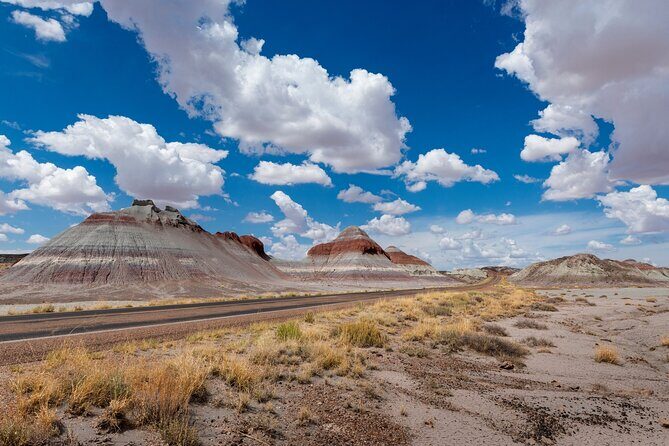 Petrified Forest National Park Self Guided Audio Driving Tour - An In-Depth Look at the Tour Experience