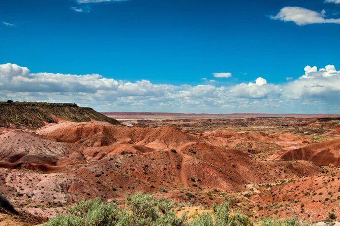 Petrified Forest National Park Self-Guided Driving Audio Tour - The Sum Up