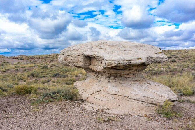 Petrified Forest National Park Self-Guided Driving Audio Tour - FAQ