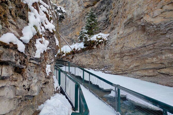 Peyto Lake Lake Louise Johnston Canyon Bow Lake from Calgary - Who This Tour Is Best For