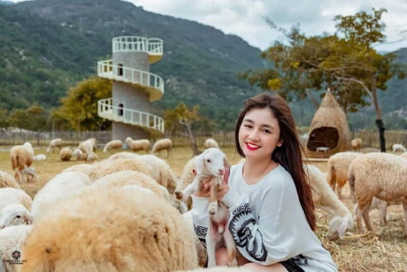 Phan Rang Full-Day: Hang Rai, Vinh Hy, Vineyard & Sheep Farm - Key Points