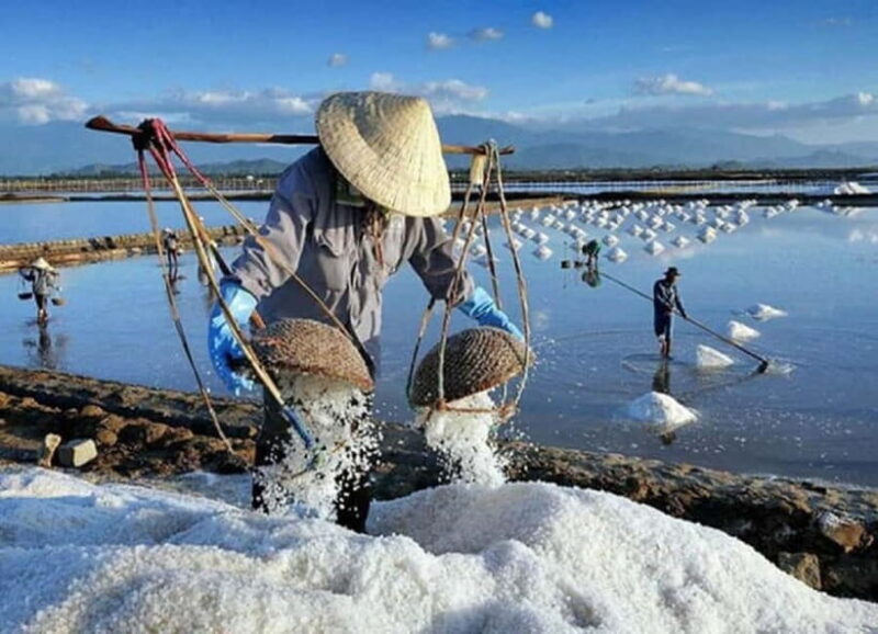 Phan Rang Full-Day: Hang Rai, Vinh Hy, Vineyard & Sheep Farm - Introduction: What Makes This Tour Stand Out?