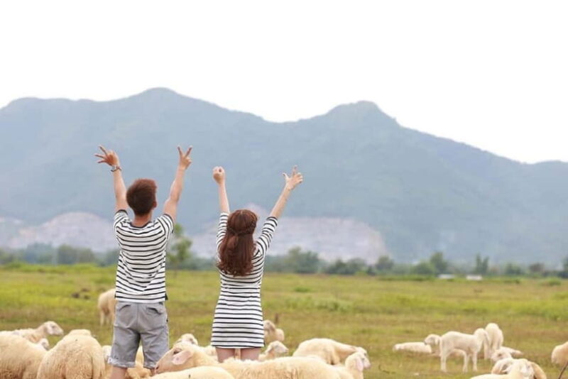 Phan Rang Full-Day: Hang Rai, Vinh Hy, Vineyard & Sheep Farm - Detailed Breakdown of Each Stop