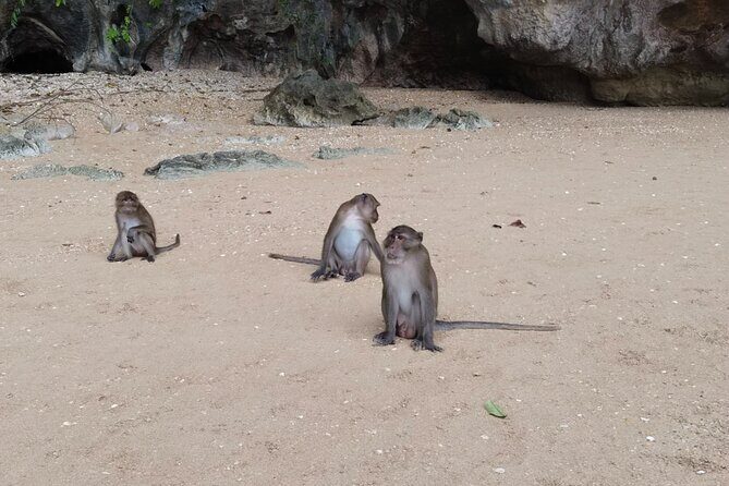 Phang Nga Bay Island Boat Tour By Speedboat By Phuket Sail Tours - FAQ