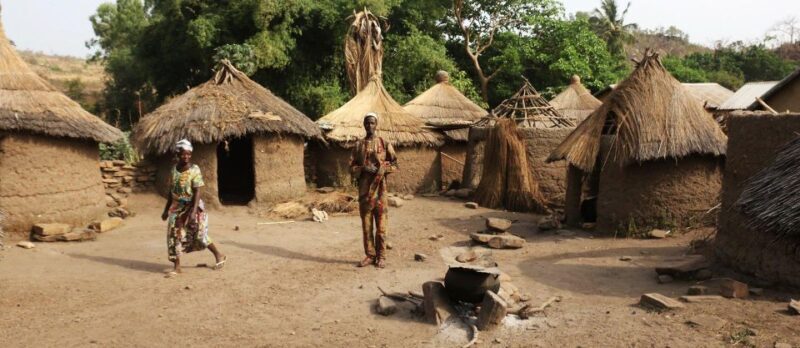 Phezulu Safari Park 1/2 Day Tour From Durban - Who Should Consider This Tour?