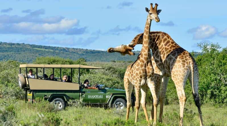 Phezulu Safari Park & Mandela Capture Site Half Day Tour - What You Can Expect from the Tour