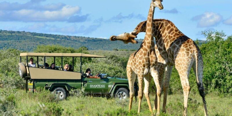 Phezulu Safari Park & Mandela Capture Site Half Day Tour - Why This Tour Is Worth Considering
