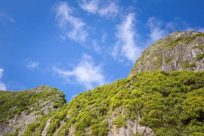 Phi Phi: 7 Island Day Tour by Longtail Boat - Summary: Who Should Take This Tour?
