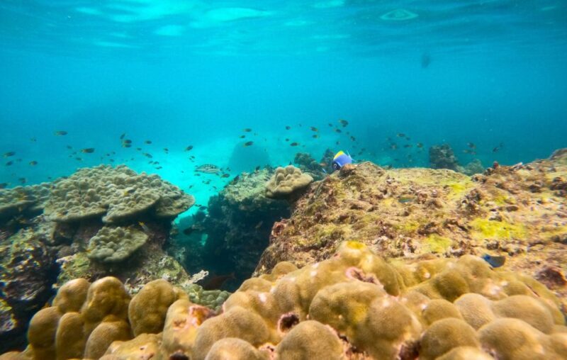 Phi Phi: Avoid The Crowds Speedboat to Maya Bay at Sunrise - Who is This Tour Best For?