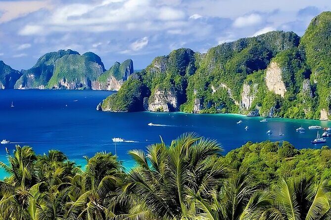 Phi Phi & Bamboo Islands Snorkeling Tour w/ Fins by Speedboat - What Makes This Tour Stand Out?