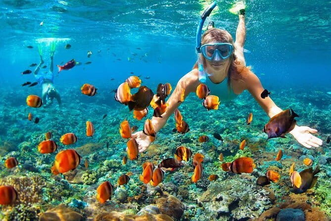 Phi Phi Half Day Tour Speed Boat Tour - An Honest Look at the Phi Phi Half Day Speedboat Tour